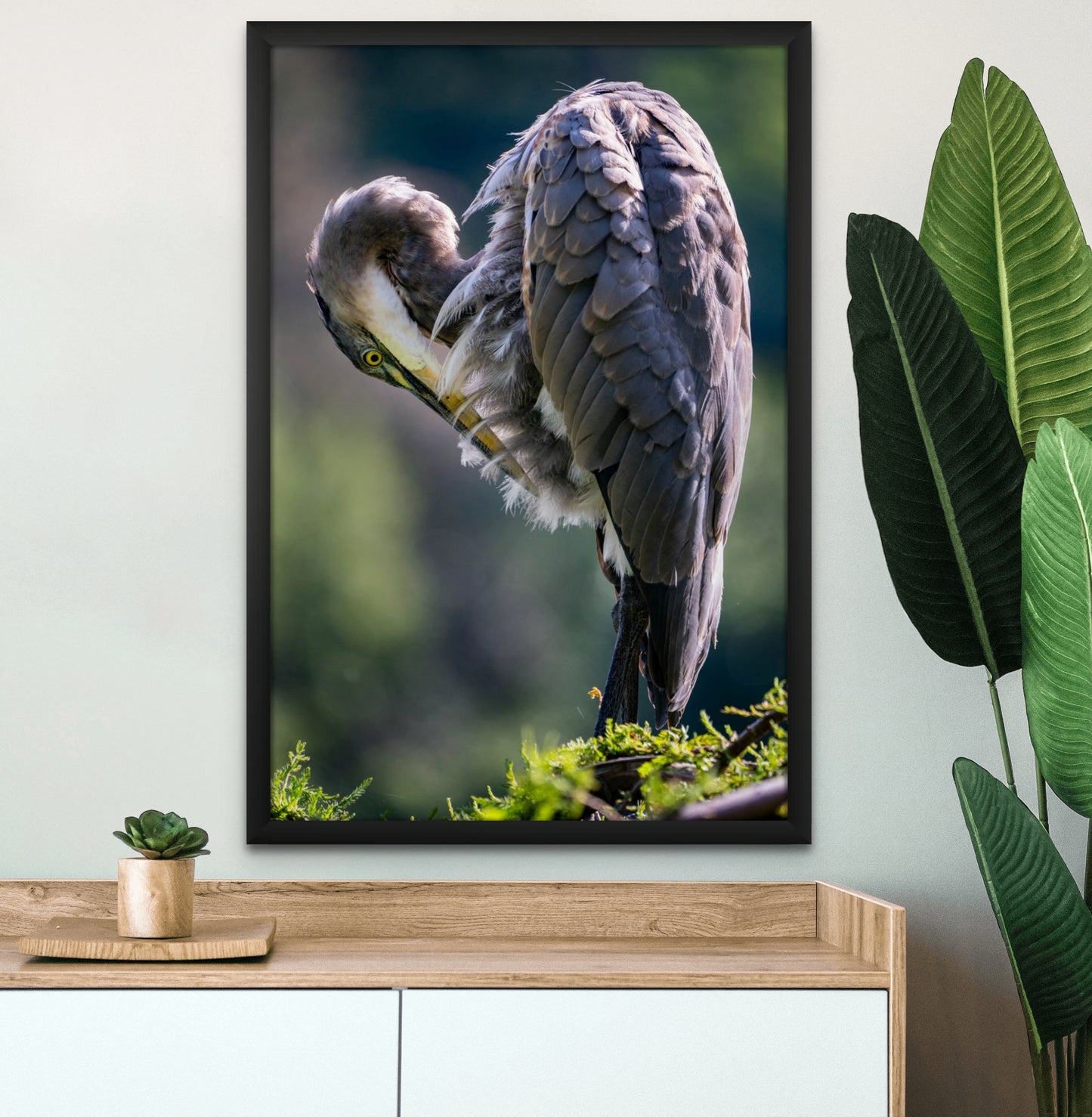 GREAT BLUE HERON 01
