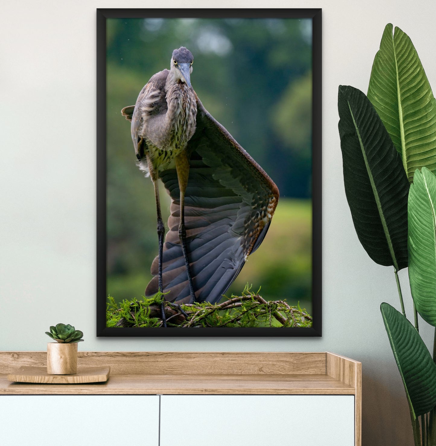 GREAT BLUE HERON 02