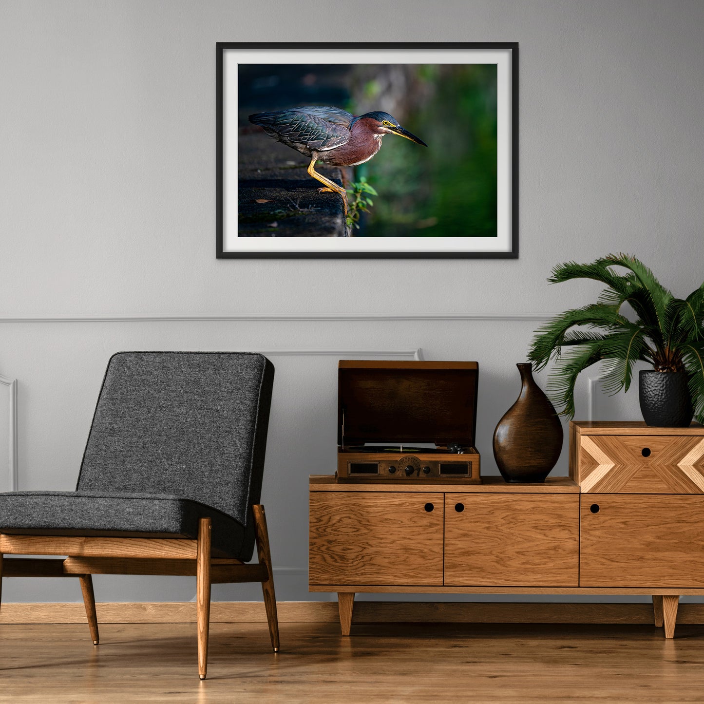 GREEN HERON 01