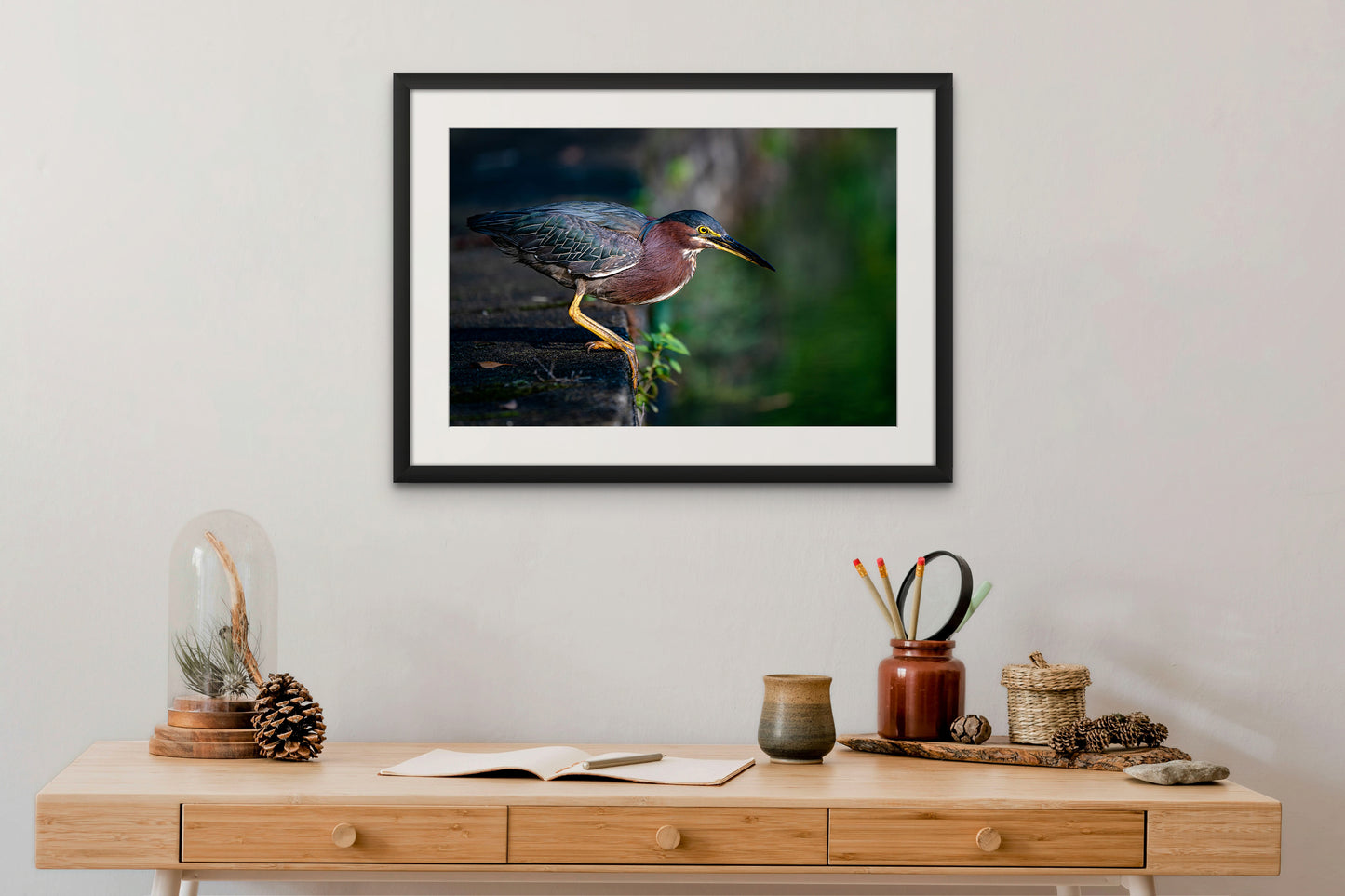 GREEN HERON 01