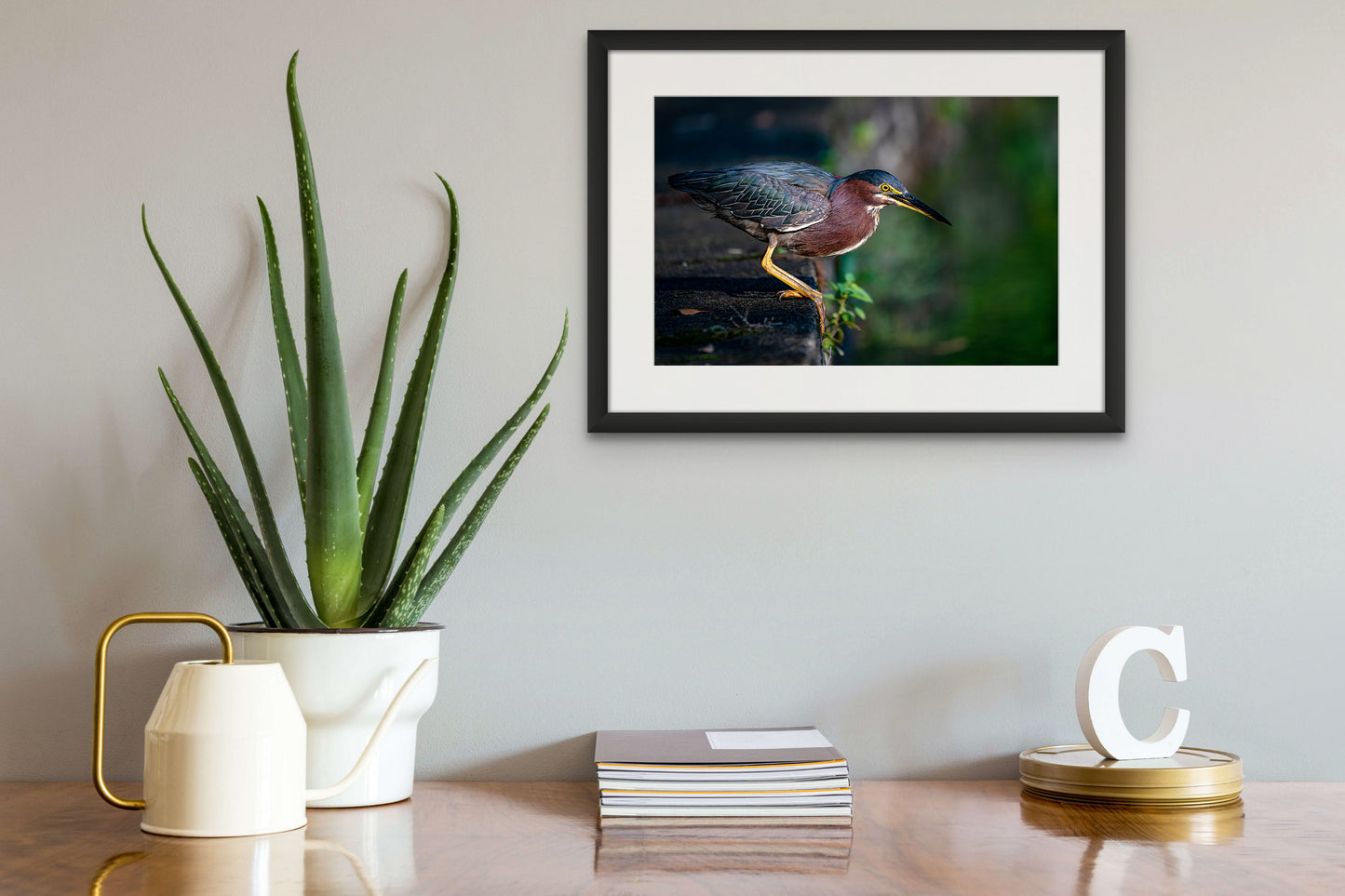 GREEN HERON 01