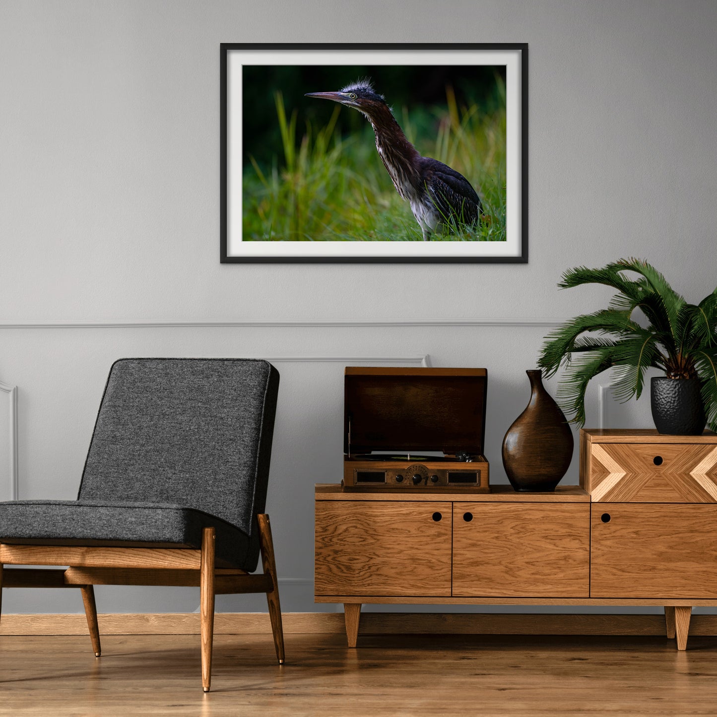 GREEN HERON 02