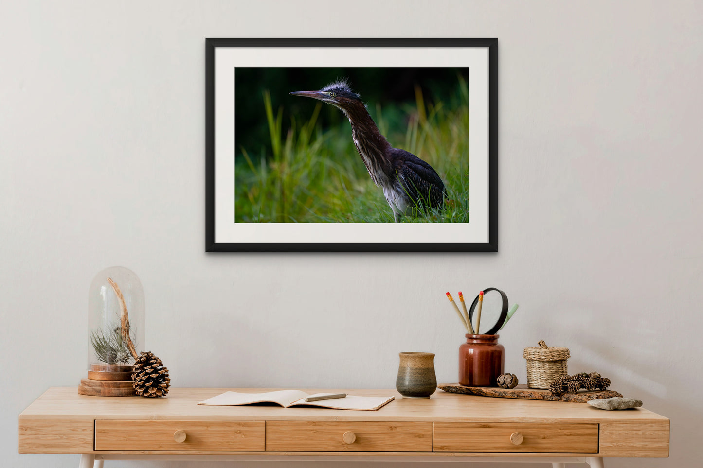 GREEN HERON 02