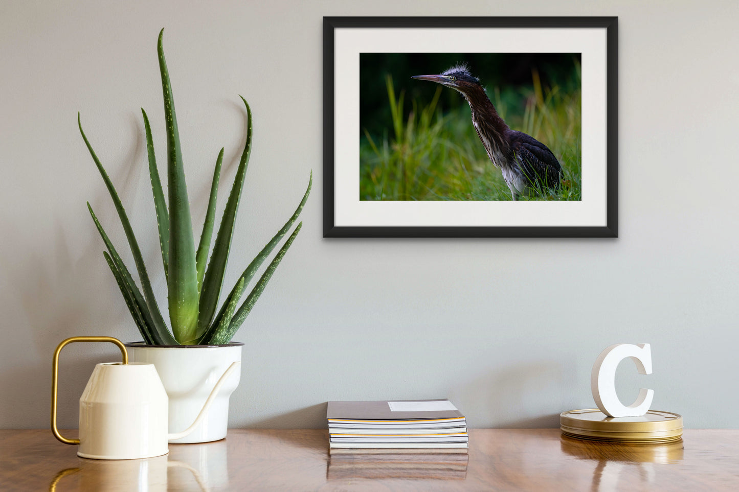GREEN HERON 02
